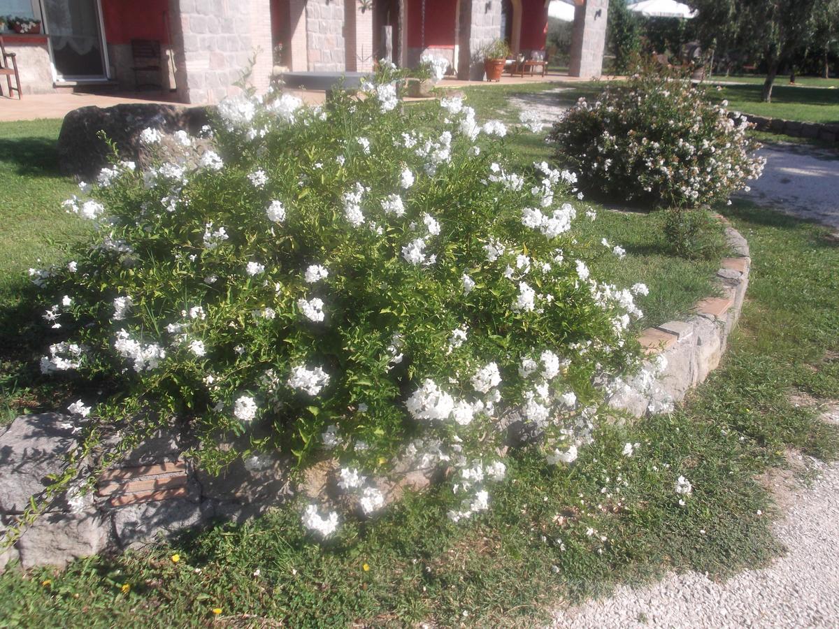 Canepina Agriturismo Casal Grande מראה חיצוני תמונה