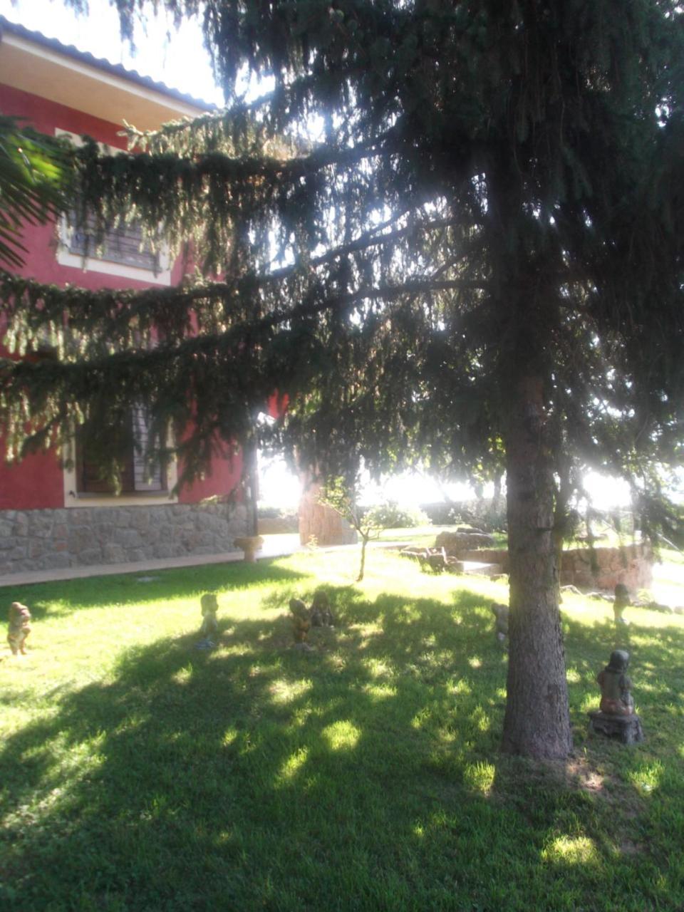 Canepina Agriturismo Casal Grande מראה חיצוני תמונה